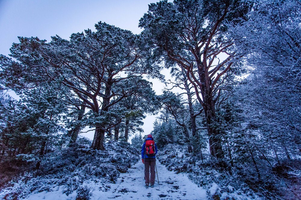  Idea Generation Of Adidas